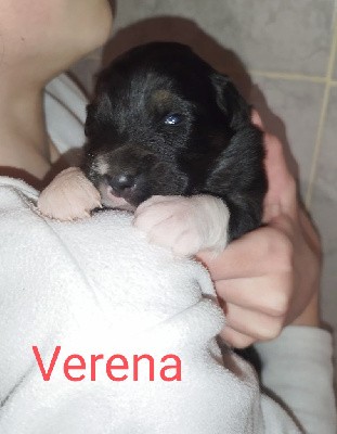 Verena